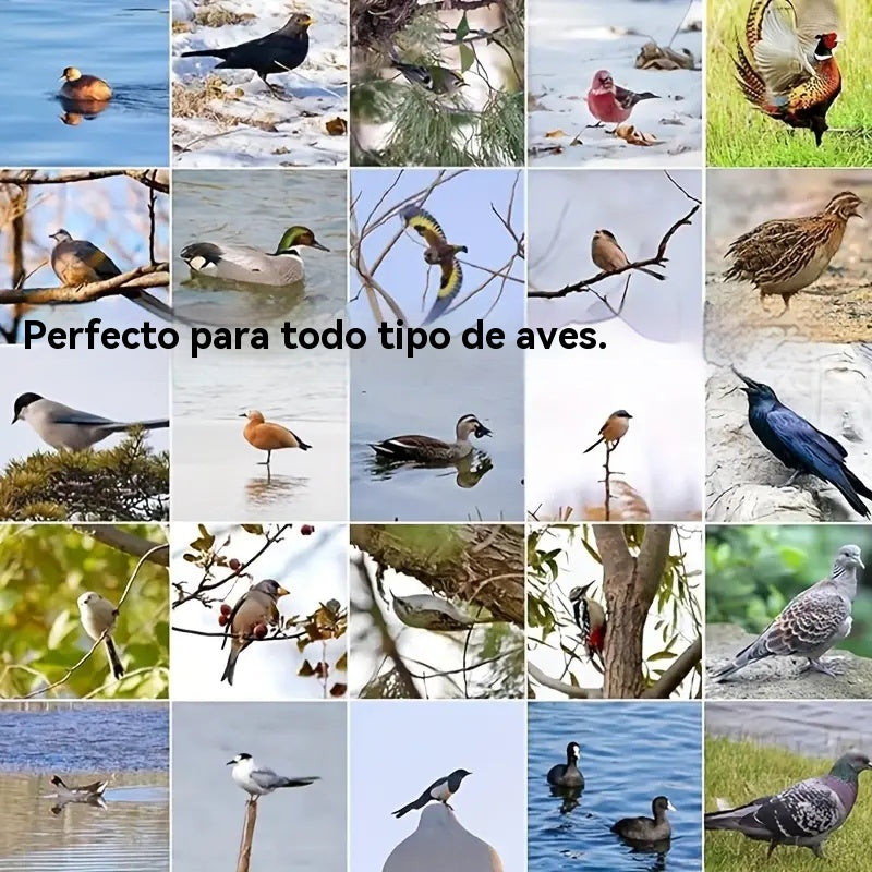 🐓🐦🔥【1 juego de 4 piezas】Trampa de resorte para exteriores, trampa de bloqueo automático de alta sensibilidad