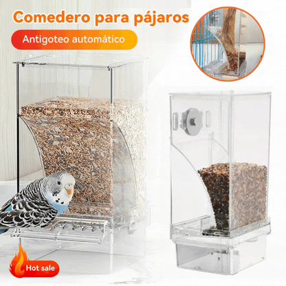 🔥Comedero automático para pájaros sin derrames